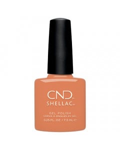 Shellac | Catch Of The Day .25oz