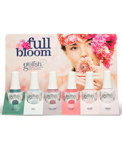Full Bloom Collection Display 6ct